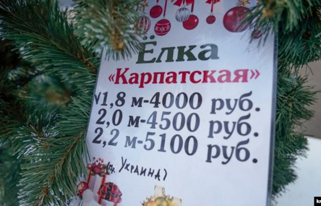 Украинцы нашли свои елки в «оккупированном» Симферополе