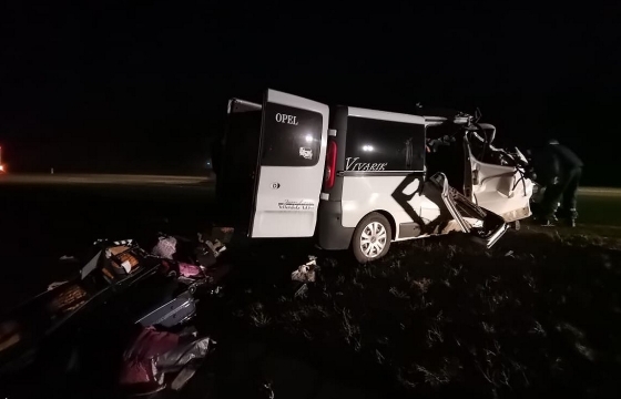 Девять человек стали жертвами лобового ДТП с микроавтобусом в Ростовской области