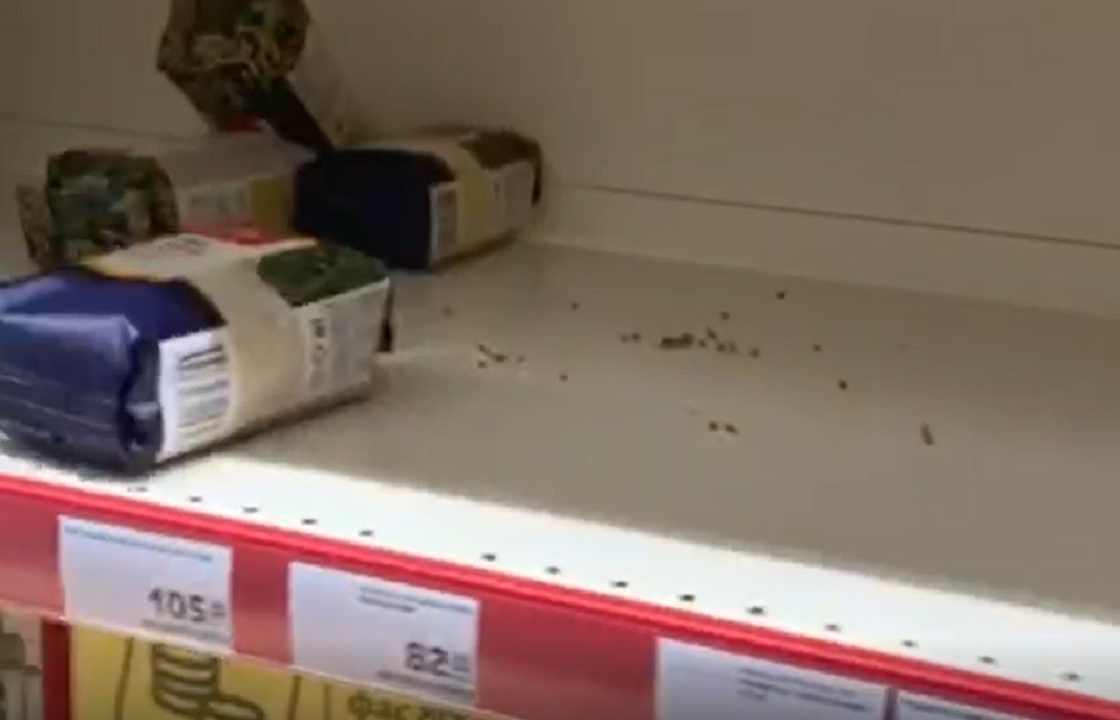 «Выгребли все подчистую» - появилось видео из магазина во Владикавказе