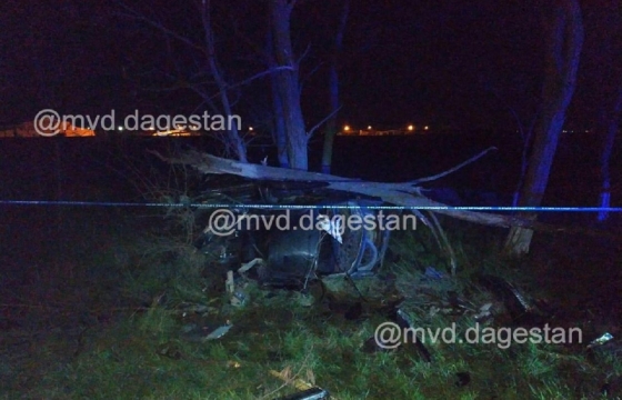 Трое парней в Дагестане погибли в ДТП с деревом. Видео