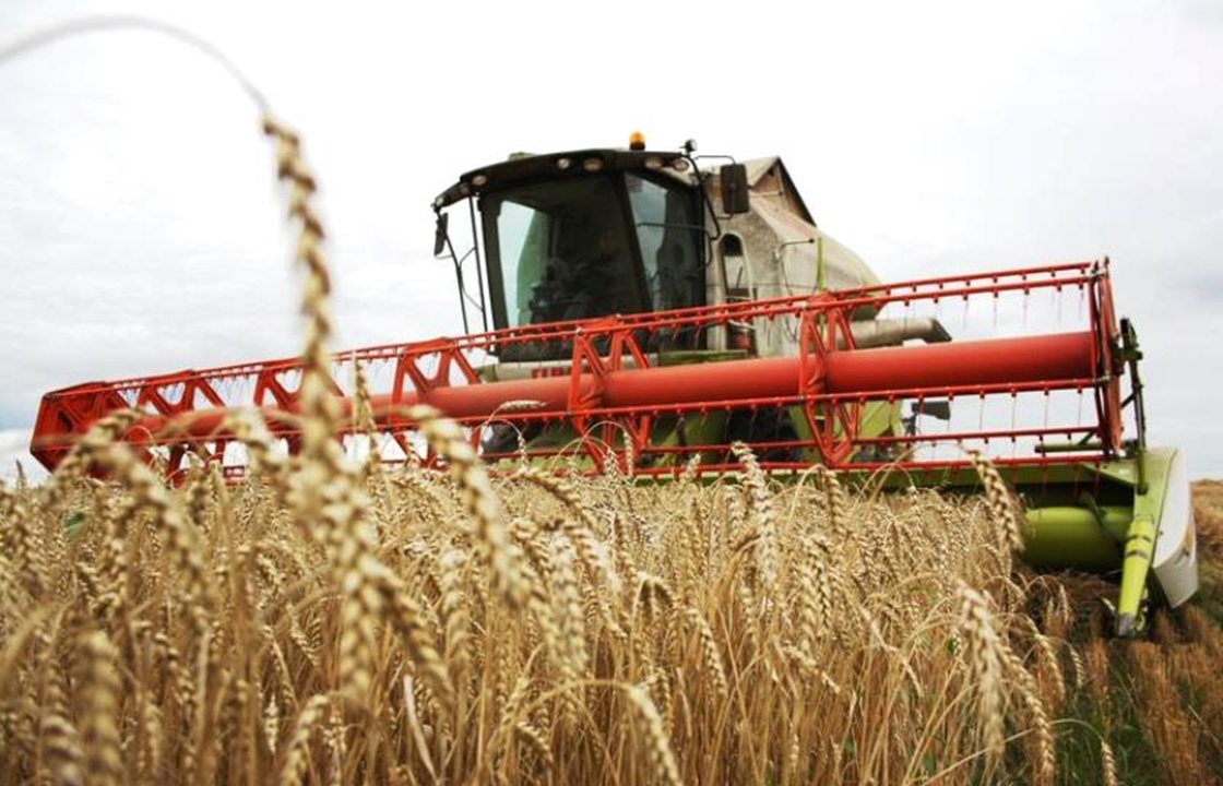 Уборка зерна идет в Краснодарском крае