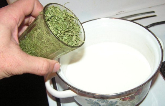 Жители Чечни приготовили два литра молока с коноплей