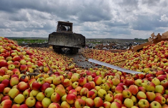 Полторы тонны санкционных яблок и вишни из Польши сожгли в Краснодаре