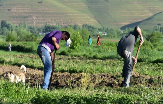Гастарбайтеры из Узбекистана ограбили агронома под Волгоградом