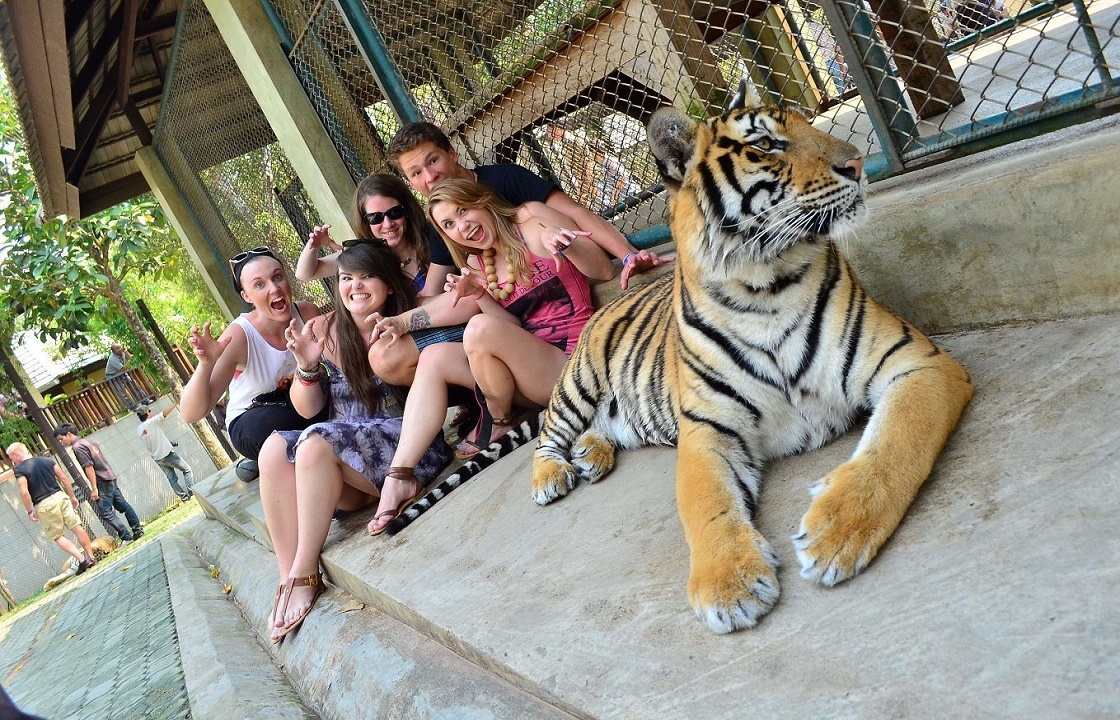 Зоопарк Тайланд Пхукет