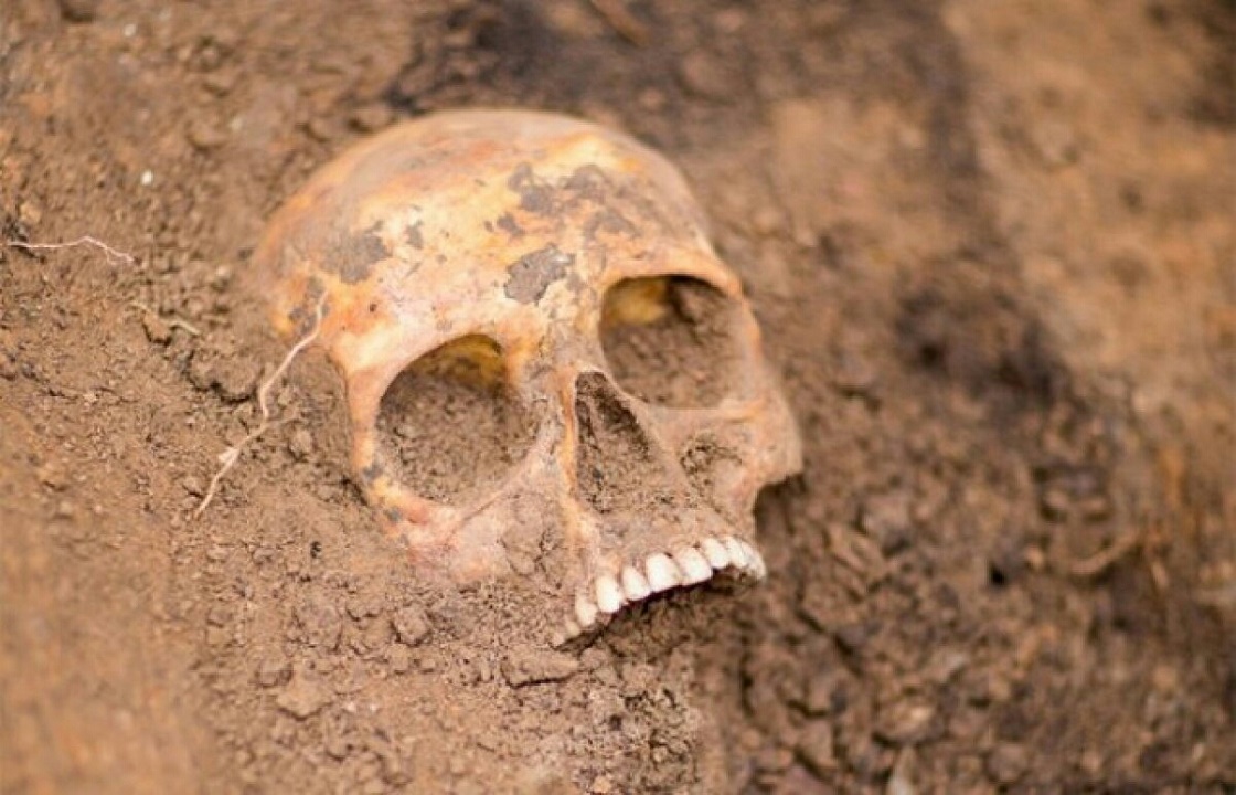 При строительных работах под Ростовом обнаружили скелет