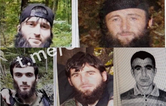 Кадыров опубликовал фото расстрелянных террористов амира Хамзата. 18+