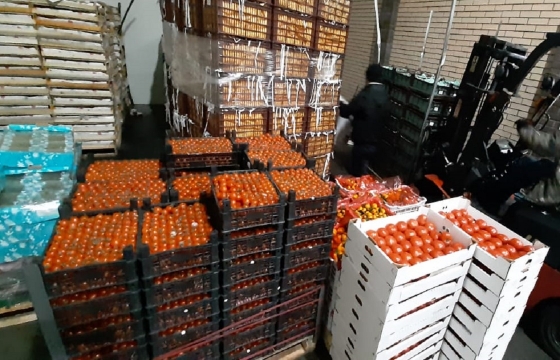 Полтонны санкционных черри и мандаринов задержано в Краснодаре