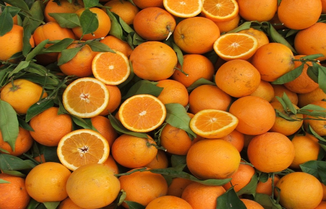 Апельсины под мушкой пытались завести в Новороссийск