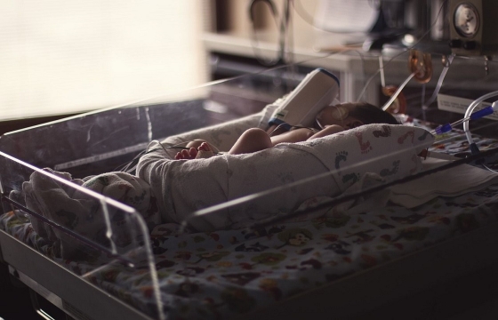 Следствие выяснит причины смерти новорожденного на Кубани