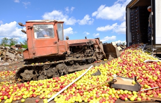 238 кг санкционных польских яблок раздавили в Адыгее