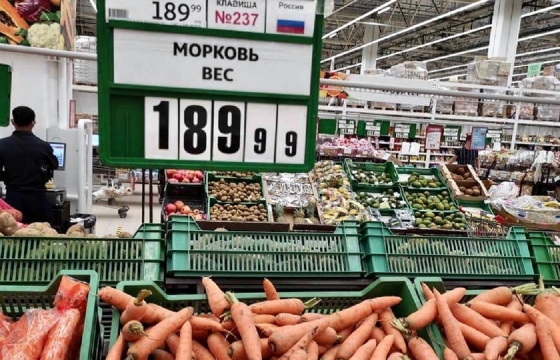 Путин рассказал, почему взлетели цены на картофель и морковь
