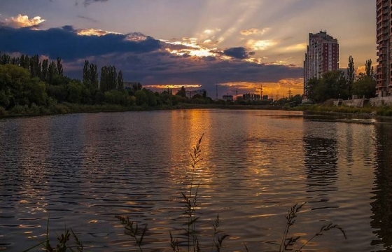 Жительница Краснодара случайно утонула в озере