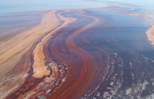 СКР: разлив нефти в Новороссийске причинил существенный вред Черному морю
