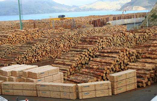 Контрабанду древесины в Китай на 20 млн рублей пресекли в Краснодаре