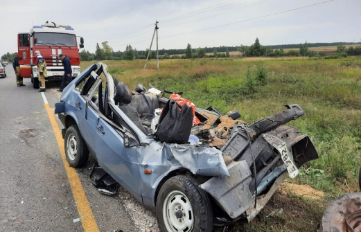 Шесть человек погибли в ДТП с грузовиком под Ростовом. Подробности