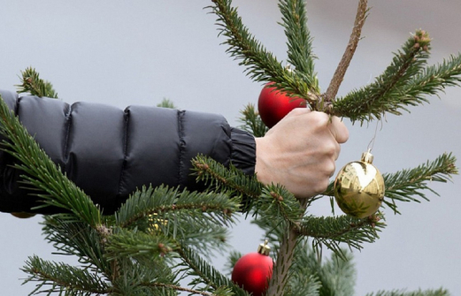 Житель Крыма украл бензопилу, чтобы спилить новогоднюю ель