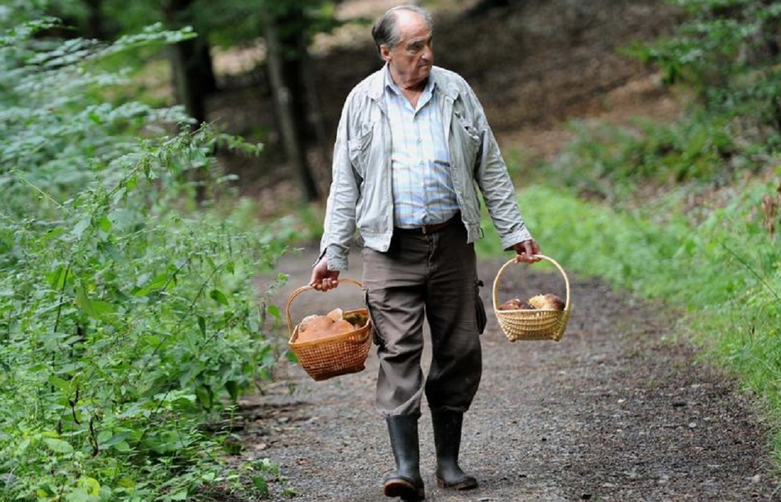Ставропольский пенсионер отравил соседку грибами