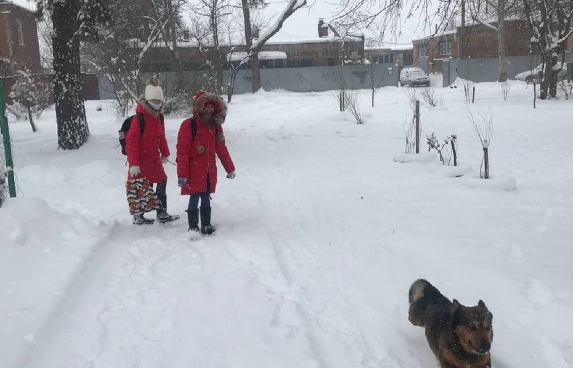 Из-за снегопада в Краснодаре на день закроют школы