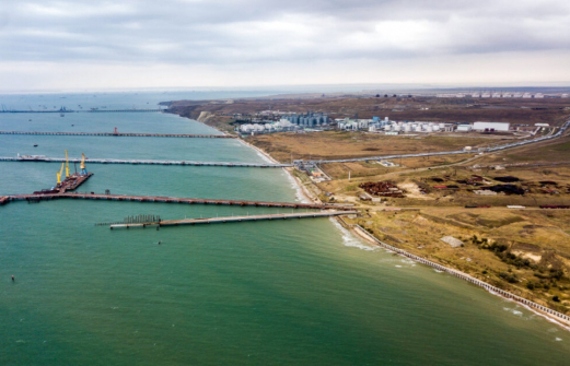 Экологи о состоянии черноморского побережья Кубани: «Наиболее остры проблемы свалок и загрязнения атмосферы»