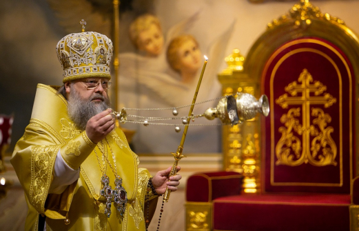 Помочь прибывающим с Донецкой области: донской митрополит обратился к православным