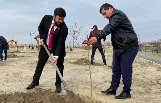 Члены Молодежного парламента Дагестана высадили 180 саженцев деревьев в Кизилюртовском районе