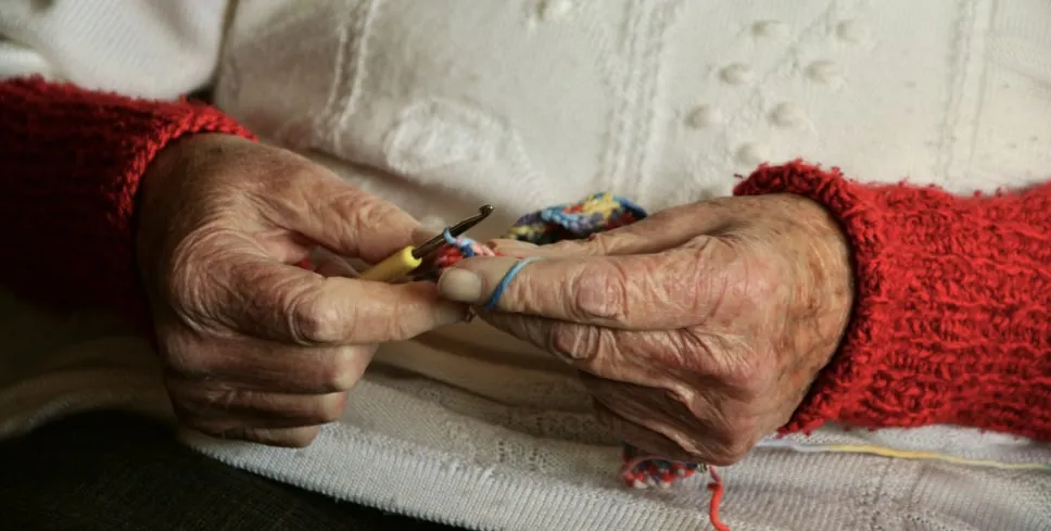 Жительница Нью-Йорка предложила жилье пенсионерке, которую внучка выгнала на улицу
