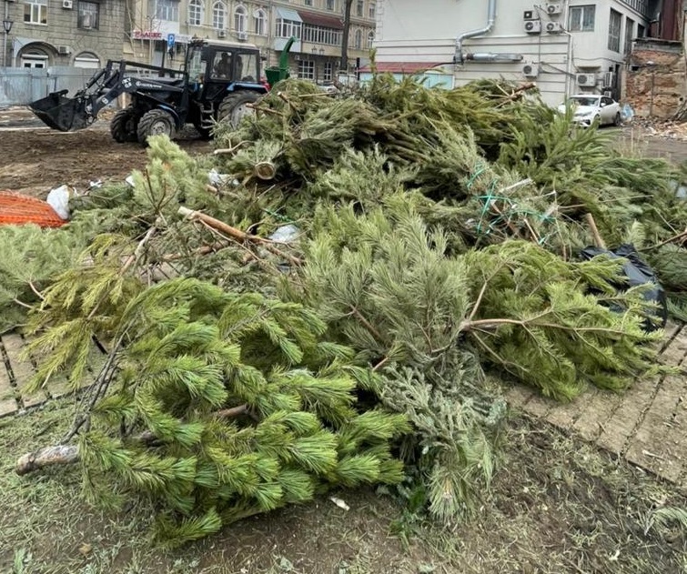 Около 1000 новогодних елок утилизировали в Ростове-на-Дону
