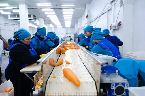 Астраханский завод отправляет замороженные овощи по всей России