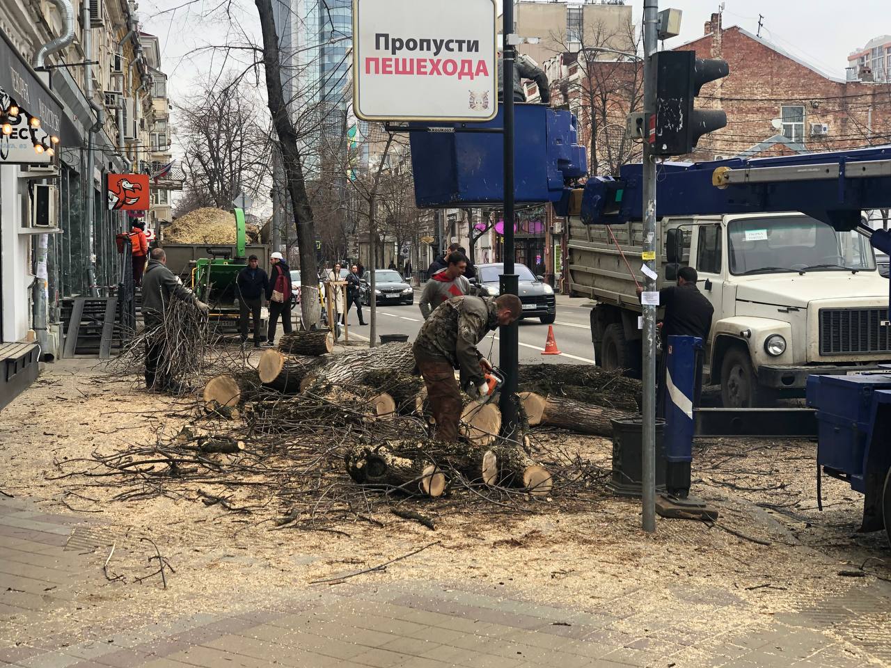 Администрация Краснодара подтвердила законность спила деревьев на Красной
