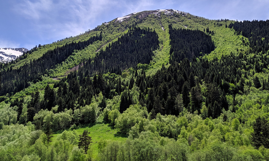 Карачаево-Черкесия стала лучшим субъектом Северного Кавказа в области лесных отношений