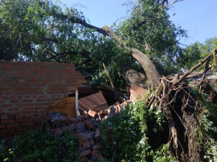 В Георгиевске дерево упало на дом из-за ливней