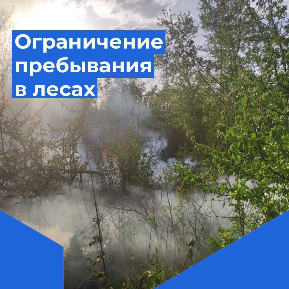 В Краснодарском крае продлены ограничения на пребывание граждан в лесах
