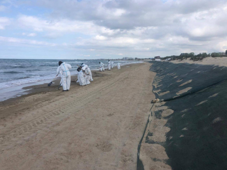 Ученые предлагают экологичный способ устранения мазута на черноморском побережье