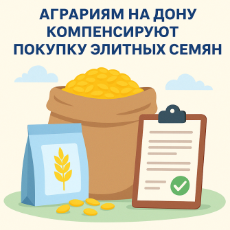 На Дону аграрии получат субсидии на покупку элитных семян