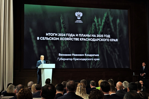 Краснодарский край выступает за включение виноградопригодных земель в федеральную систему защиты