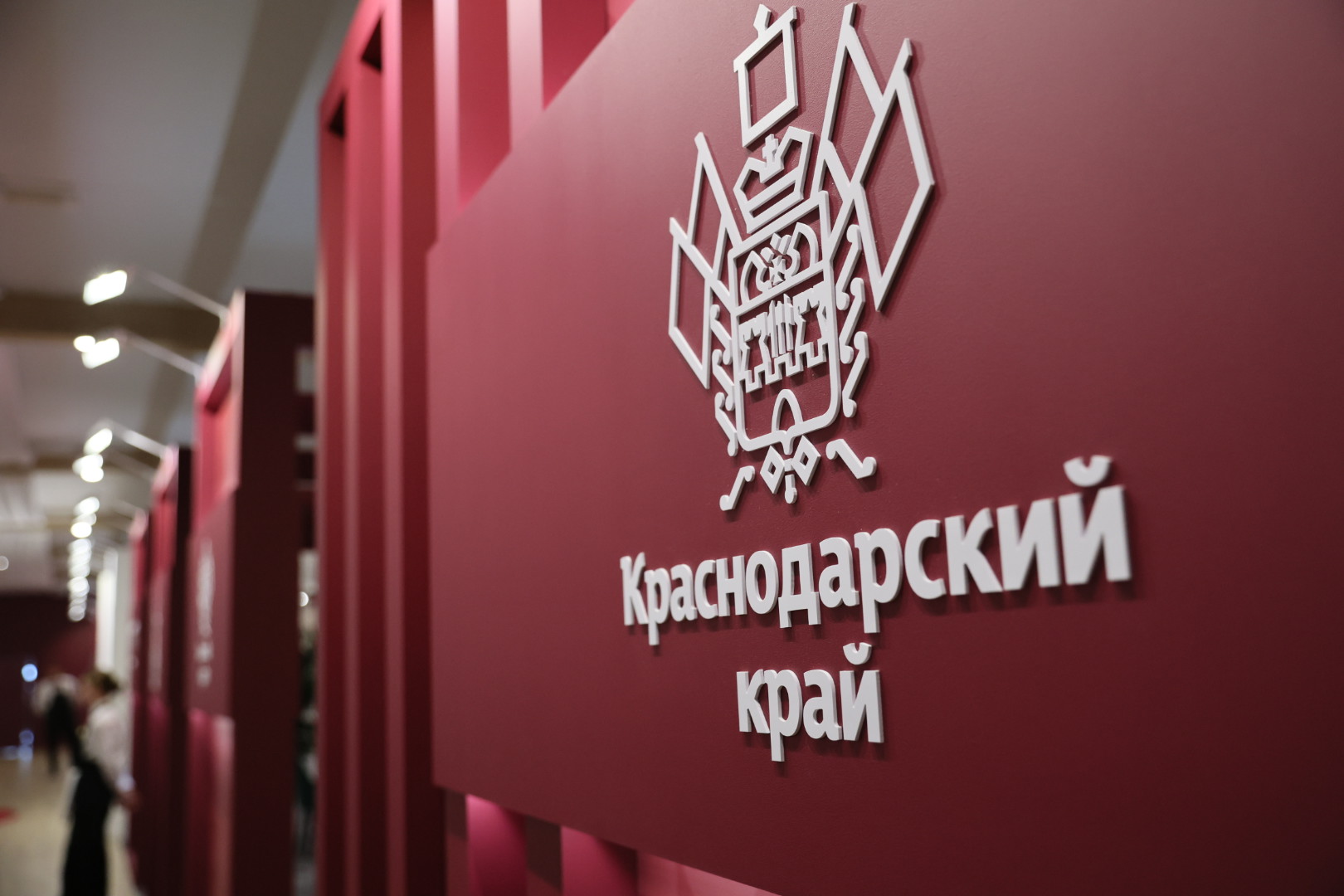 Кубань представляет инвестиционный и гастрономический потенциал на ПМЭФ-2025