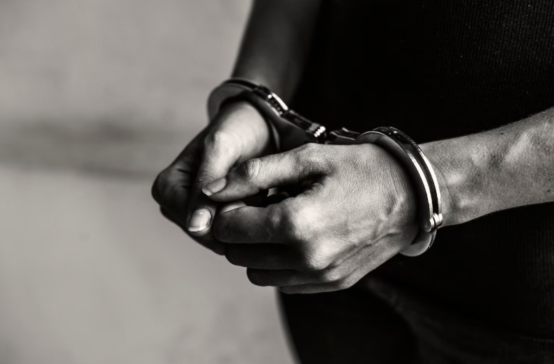 Руководителя фирмы задержали на Кубани по делу о хищении 47 млн рублей на ремонт школы