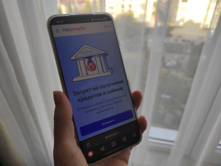 На портале Госуслуг запущен новый сервис для защиты от интернет-мошенников