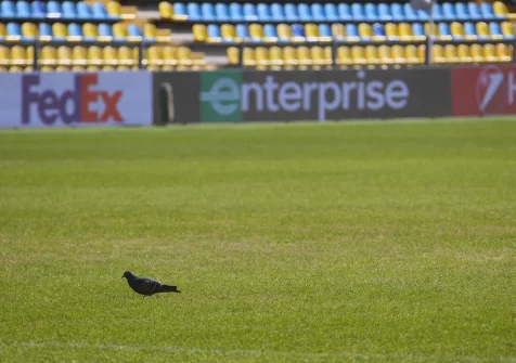 Правительство Ростовской области передаст ФК «Ростов» часть стадиона «Олимп»