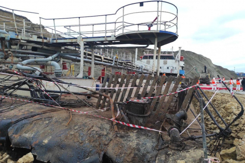 Президентский фонд природы выделил грант в 5,5 миллионов рублей на спасение черноморских экосистем после разлива мазута