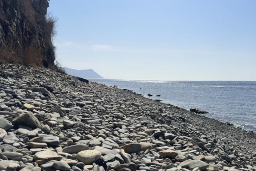 Восемь галечных пляжей Анапы исключили из опасной зоны после разлива нефтепродуктов