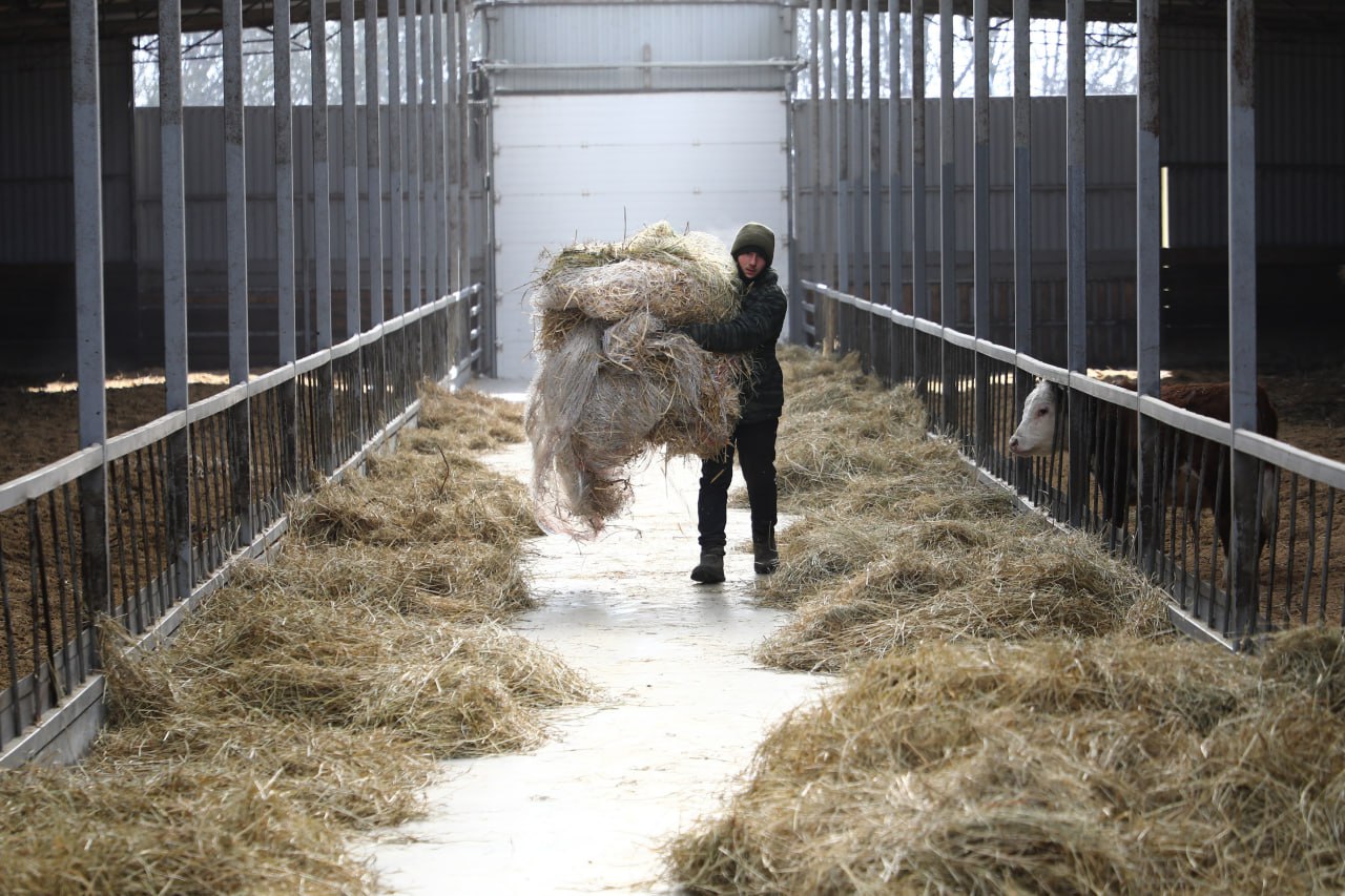 Экспорт сельхозпродукции из России превысил $41 млрд по итогам 2025 года