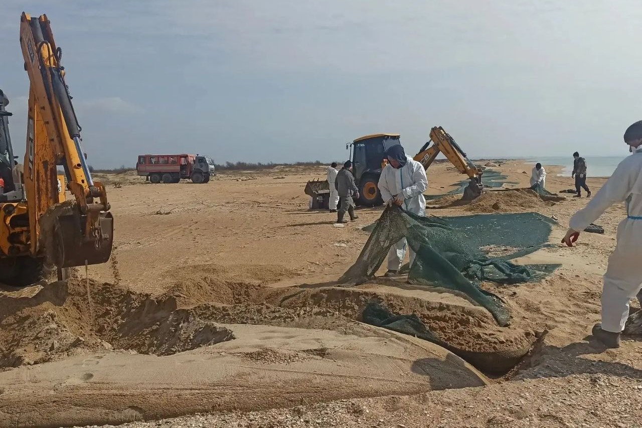 В Анапе масштабируют метод отсыпки песка на пляжах, пострадавших от разлива нефтепродуктов