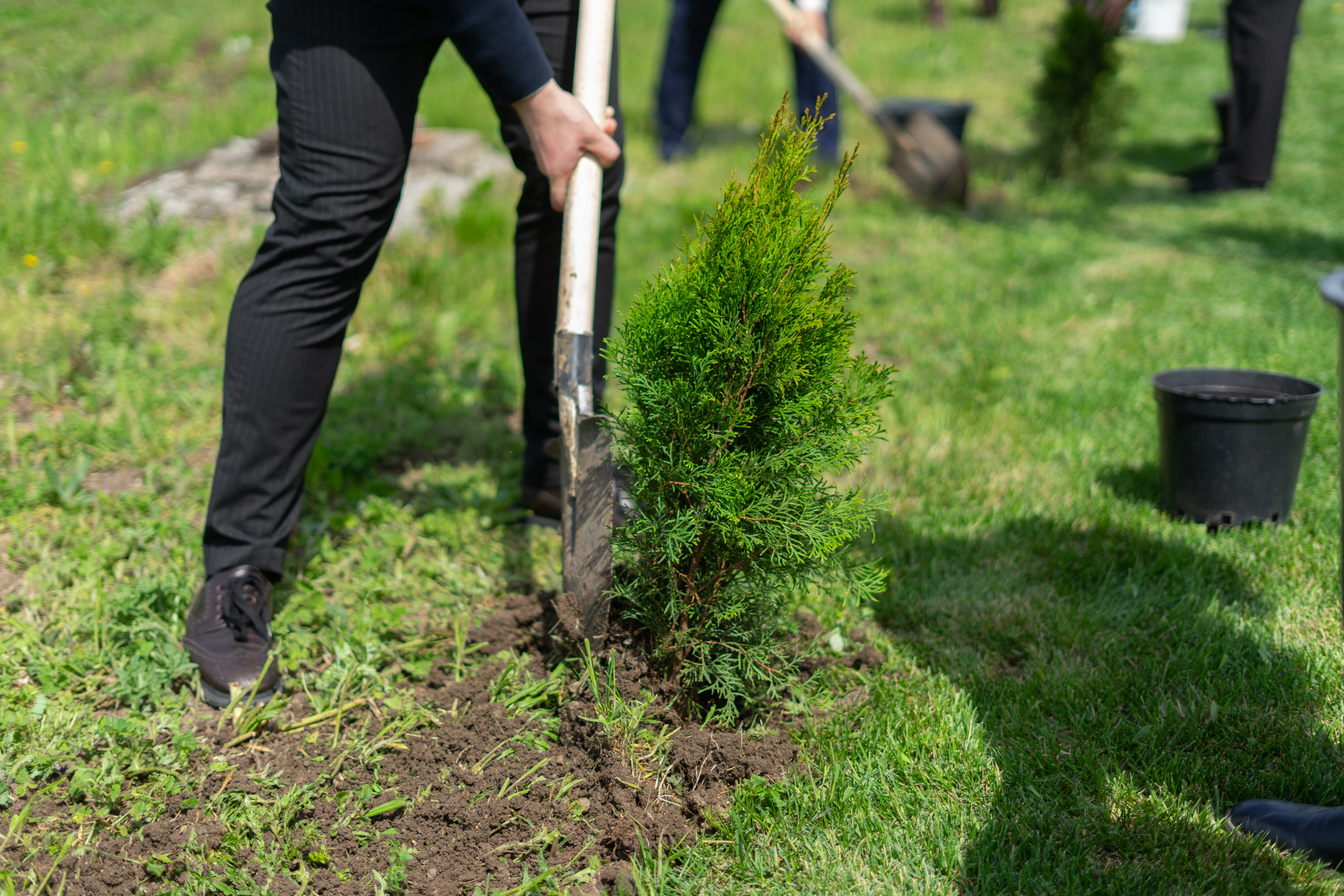 Дачникам напомнили: при особом противопожарном режиме сжигать мусор нельзя даже в бочках