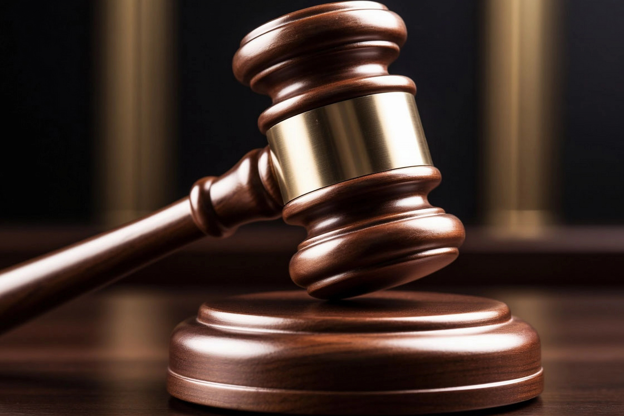 Росфинмониторинг внёс «Чеченскую Республику Ичкерия»* и её 29 европейских подразделений в список террористов