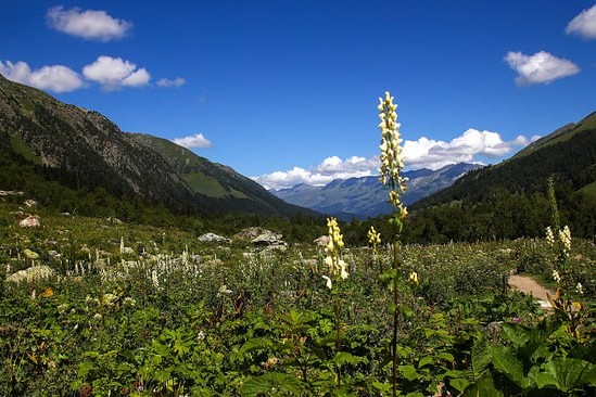 Курортный поселок «Нарсана» в КЧР: старт масштабного инвестиционного проекта на КИФ-2026