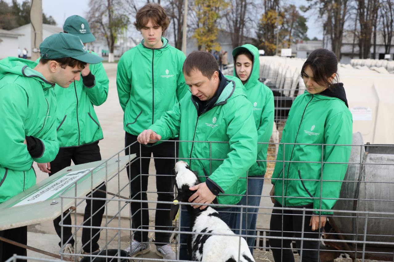 На Кубани внедряют геномную селекцию и наращивают глубокую переработку зерна