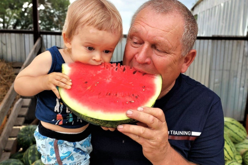 Краснодарский край рассчитывает увеличить производство бахчевых культур в 2026 году