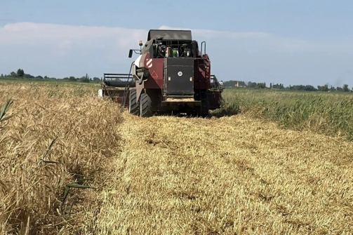 В Дагестане стартовала уборка озимых зерновых культур